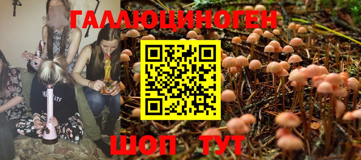 Галлюциногенные грибы Psilocybe Урюпинск